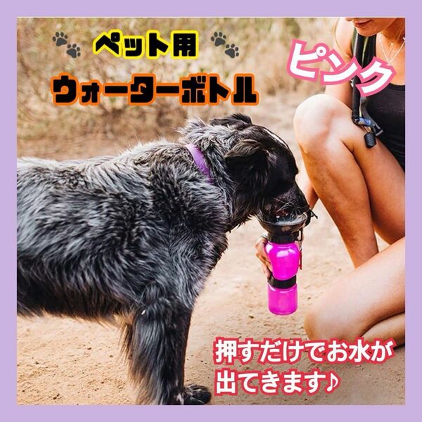 ペット用 ウォーターボトル ボトル ピンク 水筒 500ml マグ トラベルボトル 携帯用 水飲み お散歩 犬 いぬ