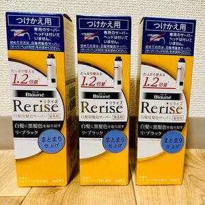 【3個セット】リライズ 白髪用髪色サーバー リ・ブラック まとまり仕上げ つけかえ用 190g×3個　クーポン利用可