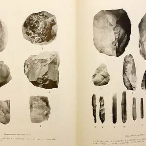 洋書 モンゴルの先史時代 Contribution to the prehistory of Mongolia ●内蒙古 スヴェン・ヘディン 西北科学考査団 フォルケ・ベリイマンの画像8