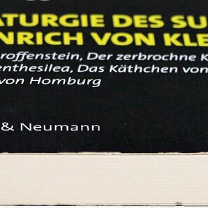 P◇中古品◇洋書/ドイツ語 Dramaturgie des Subjekts bei Heinrich von Kleist/Helmut Grugger/Konigshausen & Neumann 232ページの画像4