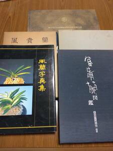 Cy富貴蘭　『中古　書籍　セット』　山野草　斑入り　