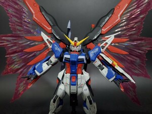 RG 1/144 ZGMF-X42S デスティニーガンダム & 拡張エフェクトユニット“光の翼” 　組立済み