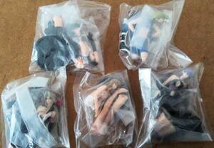 DEAD OR ALIVE figure HGIF Dead or Alive Ultimate costume variation zhitomi Secret DOA unused set 