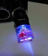 【水中花マニア必見】水中花USBイルミ　7色LED グラデーション　（ショートタイプ）／ デコトラ　限定　レトロ　レア　希少　旧車　☆☆☆_画像3