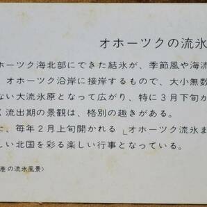 「冬のオホーツク 観光記念急行券」(網走⇒100km)×2種 *ケース無 1976,旭川鉄道管理局の画像5