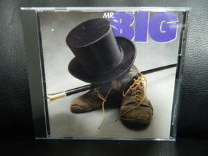 (2)　 MR.BIG　　　 　輸入盤　 　 ジャケ、経年の汚れあり