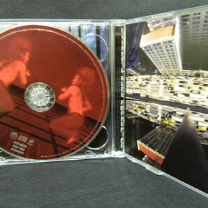 (19)  MEGADETH  /  RUDE AWAKENING   輸入盤   ２枚組  ジャケ、経年の汚れありの画像3