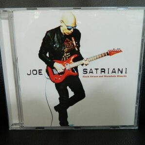 (17)  Joe Satriani  / BLACK SWANS AND WORMHOLE WIZARDS   輸入盤  ジャケ、経年の汚れあり  の画像1