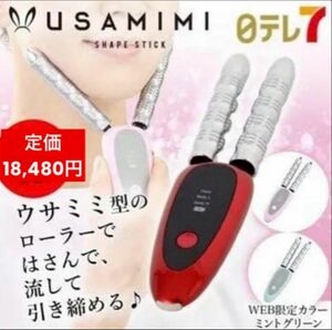 【定価 18,480円】USAMIMIシェイプスティック/ワインレッド コロコロ