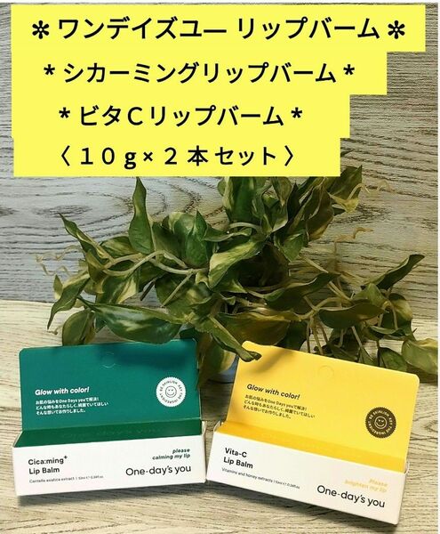 ☆ ワンデイズユー リップバーム *２種類 10ml × 2 本セット * 新品未開封品