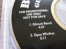 ★プロモ盤★BRAD GILLIS♪Gilrock Ranch★Guitar Recordings 9714-99203-2/M★US盤★CD★_画像2