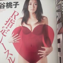 送料無料即決！ FLASH フラッシュ2009年2月17日号鎌田奈津美若槻千夏谷桃子水樹奈々安田美沙子南明奈マドンナ_画像2