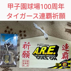 阪神タイガース連覇祈願 甲子園素盞嗚神社限定 タイガース絵馬 甲子園球場開場100周年記念 甲子園の土キーホルダー 甲子園球場 阪神 甲子園