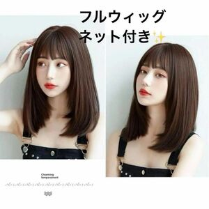 フルウィッグ 耐熱 ウィッグ 医療用 カール WIG ブラウン　ストレート　ネット付き イメチェン 