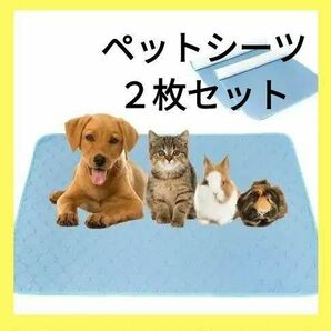 洗えるペットシーツ おしっこパッド 速乾(60x45CM 2枚セット) 猫 ネコ ペット用 犬 イヌ 洗濯可能 うさぎ モルモット