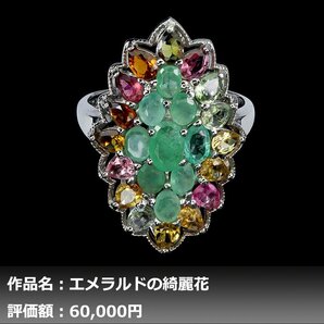 【1円新品】イケゾエガレ｜8.00ct 天然エメラルド&トルマリン K14WG仕上リング 16号｜作家モノ｜本物保証｜NGL鑑別対応の画像1