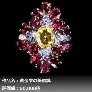 【1円新品】イケゾエガレ｜14.00ct 天然シトリン&ガーネット&タンザナイト K14WG仕上リング 19号｜作家モノ｜本物保証｜NGL鑑別対応の画像1