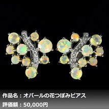 【1円新品】イケゾエガレ｜4.00ct 超大粒 天然オパール ダイヤモンド K14WG仕上ピアス｜作家モノ｜本物保証｜NGL鑑別対応_画像1