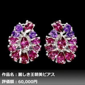 【1円新品】イケゾエガレ｜10.00ct 天然アメジスト&ガーネット K14WG仕上ピアス｜作家モノ｜本物保証｜NGL鑑別対応の画像1