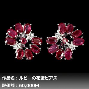 【1円新品】イケゾエガレ｜4.50ct 天然ピジョンブラッドルビー ダイヤモンド K14WG仕上ピアス｜作家モノ｜本物保証｜NGL鑑別対応の画像1