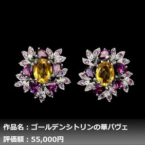 【1円新品】イケゾエガレ｜6.00ct 天然シトリン&ガーネット K14WG仕上ピアス｜作家モノ｜本物保証｜NGL鑑別対応の画像1