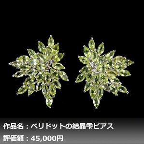 【1円新品】イケゾエガレ｜5.00ct 天然ペリドット K14WG仕上ピアス｜作家モノ｜本物保証｜NGL鑑別対応の画像1