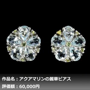 【1円新品】イケゾエガレ｜6.00ct 天然アクアマリン&サファイア K14WG仕上ピアス｜作家モノ｜本物保証｜NGL鑑別対応の画像1