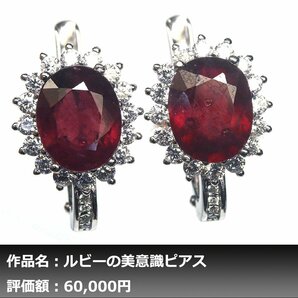 【1円新品】イケゾエガレ｜6.00ct 天然ピジョンブラッドルビー ダイヤモンド K14WG仕上ピアス｜作家モノ｜本物保証｜NGL鑑別対応の画像1