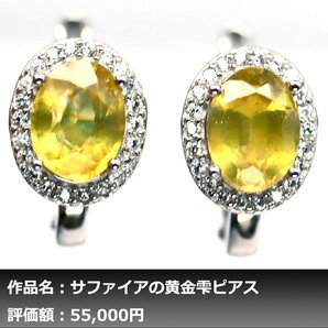 【1円新品】イケゾエガレ｜5.00ct 天然イエローサファイア ダイヤモンド K14WG仕上ピアス｜作家モノ｜本物保証｜NGL鑑別対応の画像1