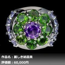 【送料無料】イケゾエガレ｜4.50ct 天然アメジスト&タンザナイト&クロムディオプサイト K14WG仕上リング 16号｜作家モノ｜本物保証｜NGL鑑_画像1