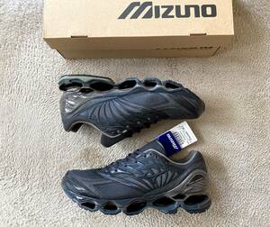 MIZUNO