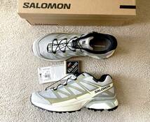 即決■国内限定・希少■ Salomon / 防水 透湿 XT-PATHWAY GTX / Ghost Gray / 28cm サロモン ゴアテックス スニーカー シューズ アウトドア_画像1