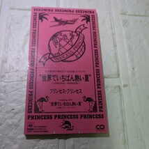 【８ｃｍ】 世界でいちばん熱い夏／プリンセス プリンセス_画像1