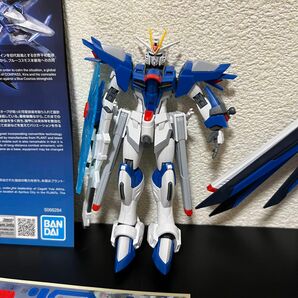 HG 1/144 ライジングフリーダムガンダム プラモデル 完成品 素組 ジャンク品