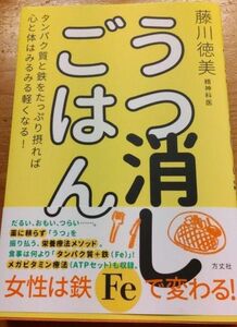 うつ消しごはん タンパク質と鉄をたっぷり摂れば心と体はみるみる軽くなる!