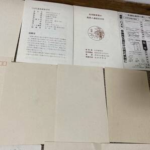 古い絵葉書セット 皇太子殿下 御内定ノ久邇宮良子女王殿下/英東宮御所/皇太子殿下御参内/賢所 皇太子殿下御束帯などの画像8