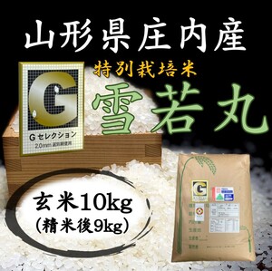 ◇ G Selection ♪ Snowwaka Maru ♪ Originwa 5 -й год! Yamagata Shonai Sangyo Gen Rice 10 кг (белый рис 9 кг) бесплатная доставка