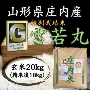 ●Gセレクション♪雪若丸♪令和５年産！山形庄内産玄米２０kg（白米１８kg）送料無料