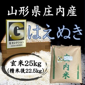 □Ｇセレクション♪令和５年産！山形庄内産はえぬき 玄米２５kg（白米２２．５kg）送料無料