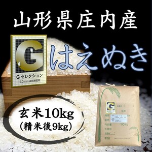 ◆Ｇセレクション！令和５年産！山形庄内産はえぬき玄米１０kg（白米９kg）送料無料