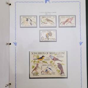 【3624】オーデュボン 誕生200年 記念切手コレクション 47ページ 本 冊子 外国切手 鳥 コレクションの画像8