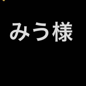 みう様専用出品　ツール