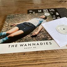 THE WANNADIES ワナダイズ　アナログ　レコード　LP BAGSY ME バグシーミー_画像10