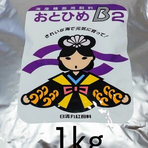 高栄養飼料 おとひめB2 1kg アクアリウム メダカ 熱帯魚