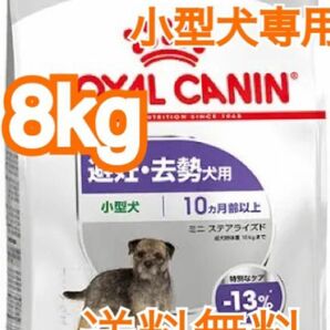 ロイヤルカナンミニステアライズド（避妊・去勢犬用 小型犬専用 成犬〜高齢犬用）