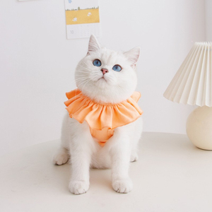 * orange * S размер * кошка для . после одежда kcat12 кошка . после одежда рука . после одежда царапина облизывание предотвращение . после одежда одежда подгузники кошка кошка .. мягкий 