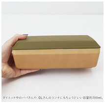 ☆ グレー ☆ earth color 抗菌 長角弁当箱 抗菌弁当箱 弁当箱 1段 お弁当箱 一段 ランチボックス 700ml earth color アースカラー_画像7