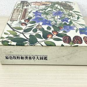 W539-T23-188 原色牧野和漢薬草大圖鑑 牧野富太郎 植物図鑑 北隆館 本 ⑥の画像2