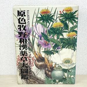 W539-T23-188 原色牧野和漢薬草大圖鑑 牧野富太郎 植物図鑑 北隆館 本 ⑥の画像1