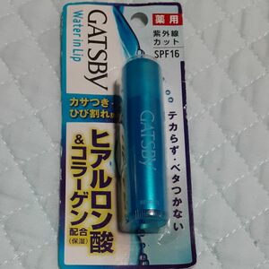 ギャツビー 薬用 ウォーターインリップ 5g×1（医薬部外品）